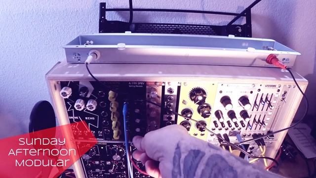 Doepfer A-199 Spring Reverb with Accutronics Spring Tanks смотреть онлайн