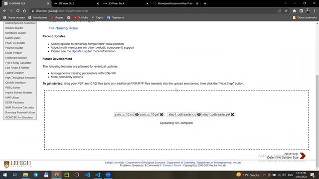 Poly-P - подготовка систем для молекулярной динамики. Часть 2. Раствор Poly-P с белком. смотреть онлайн