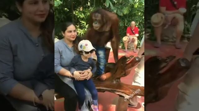 Фото-зона №1 смотреть онлайн