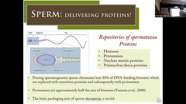 Theme 7. Biotechnology: Lead paper by Dr T K Datta смотреть онлайн