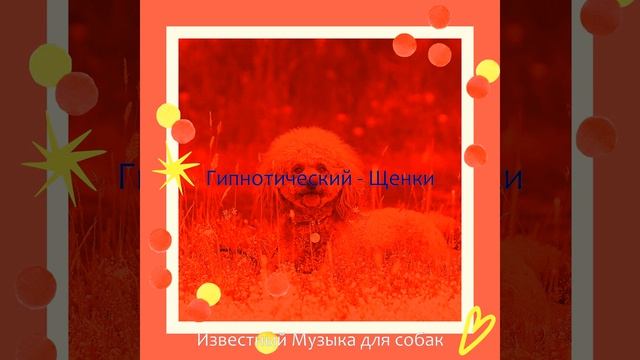 Атмосфера (Собаки) смотреть онлайн