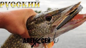 ✔РЫБАЛКА ВЕСНОЙ НА СПИННИНГ ПО ХИЩНИКУ В ТВЕРСКОЙ ОБЛАСТИ НА МЕДВЕДИЦЕ !