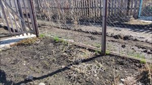 Хорошо провели время на даче // Стоимость стоматологических услуг