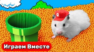 Лабиринт для Хомяка 🐹 Умный Хомяк попал в игру МАРИО ! Выбираемся вместе ! Видео для детей