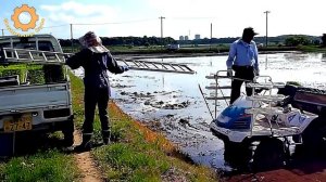 Как выращивают рис в Японии