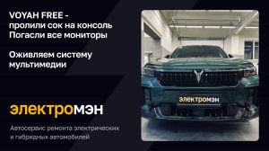 Оживляем систему мультимедиа на Voyah Free