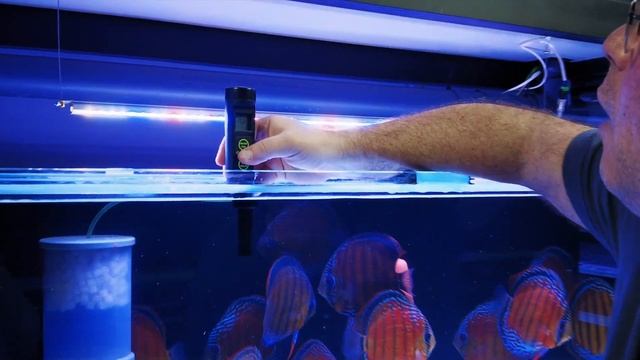 MW803MAX we test and we recommend !! смотреть онлайн