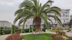 01.04.2025 г Адлер/Бархатные сезоны/Набережная Адлера/Чёрное море