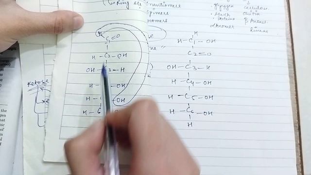 Unit-1 L-11 Hexose & pentose sugars| Fructose, Ribose & Deoxyribose| Carbohydrates (Monosachharides смотреть онлайн