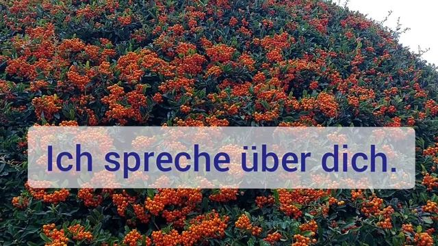 Sprechen и besprechen, в чем разница? Приставка BE- смотреть онлайн