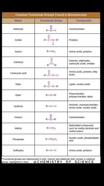 common functional groups found in biomolecules @sciencefact9322 смотреть онлайн
