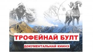 ТРОФЕЙНАЙ БУЛТ