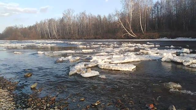 Лед почти сошел на реке Чегдомын смотреть онлайн