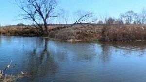 На рыбалку с поплавочной удочкой !