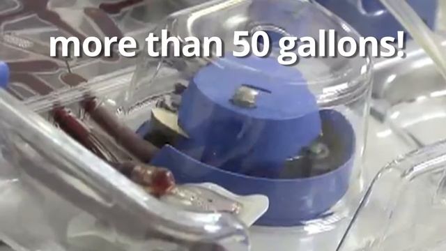 Clearwater Mayor is 50-Gallon Blood Donor смотреть онлайн