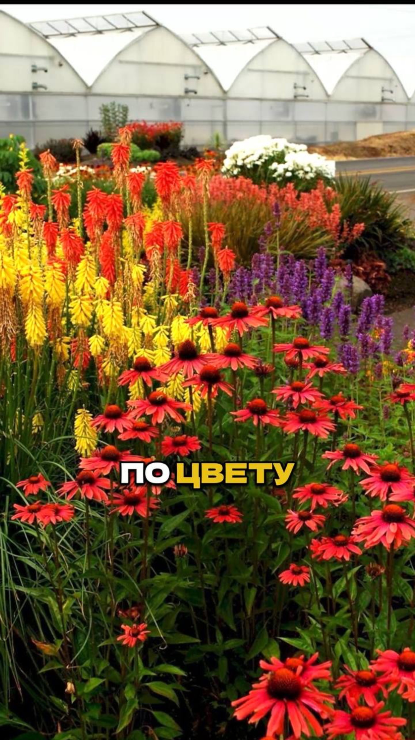 Ч.2🌿✨Этим Секретом Пользуются Все Ландшафтники смотреть онлайн