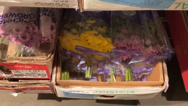 Cooler Tour Part 2, June 12, 2023 смотреть онлайн