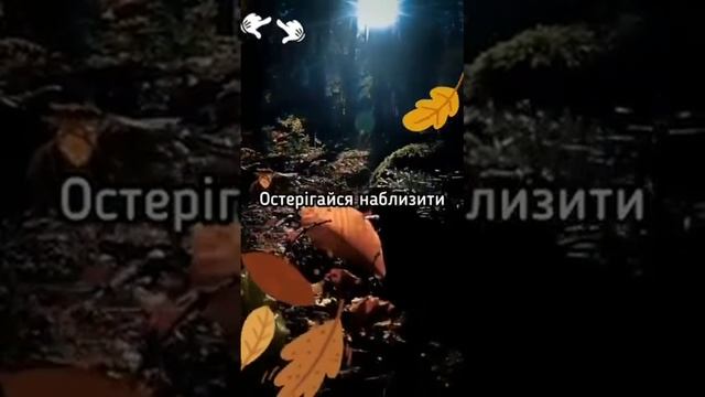 Слова про життя! #життя #добро #слова #україна смотреть онлайн