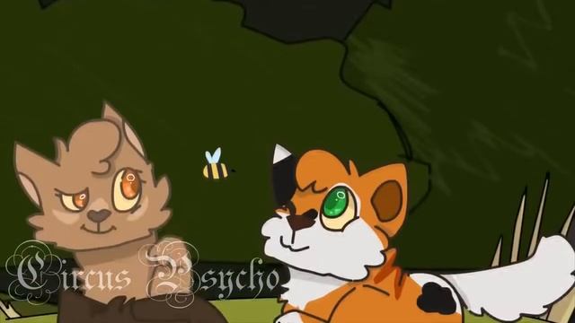 cats warriors Boy like you (+1000)(ЧИТАТЬ ОПИСАНИЕ) смотреть онлайн