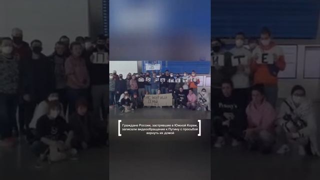 Жители Приморья, застрявшие в аэропорту Южной Кореи, обратились к Путину смотреть онлайн