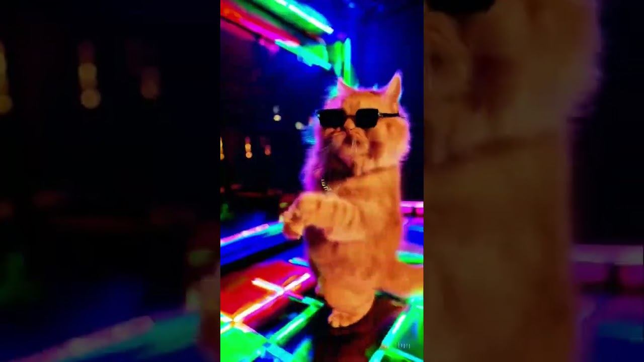 Groovy Feline Fiesta смотреть онлайн