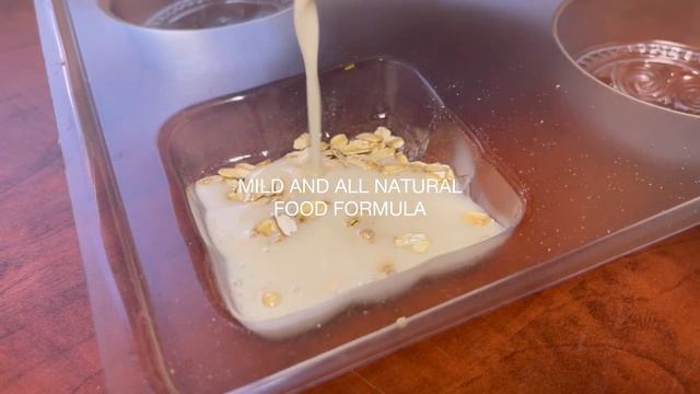 Carmen Cheng- Natural Soap For Modern Family (3-Bar Soap Collection) смотреть онлайн