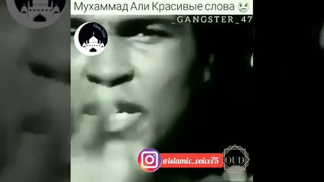 Нам ничего не принадлежит ❤️❤️👍📢📱📲 смотреть онлайн