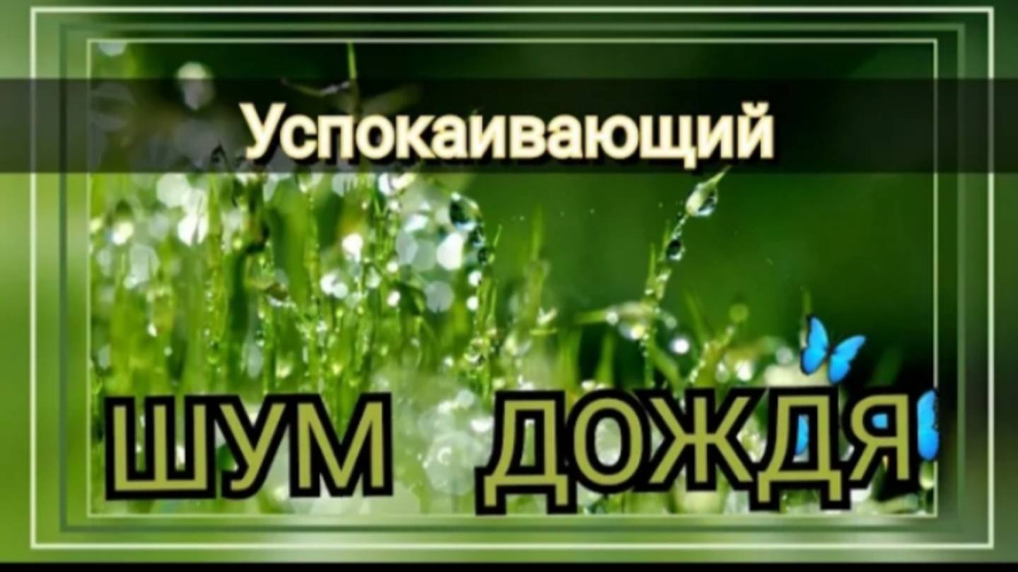 Успокаивающий шум дождя.