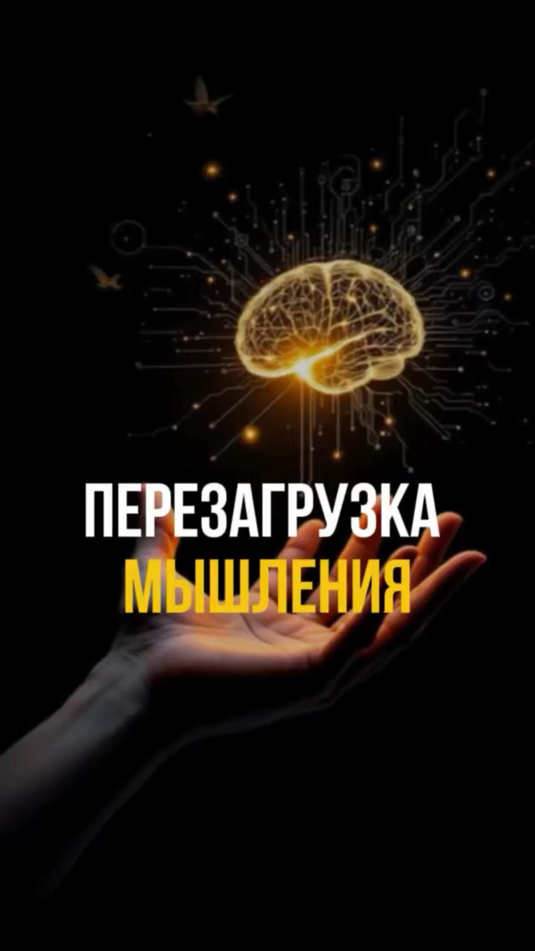 Перезагрузка мышления после потери денег