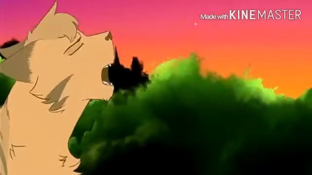 Коты воители клип два идиота смотреть онлайн