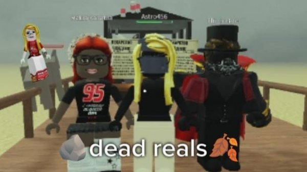 🪨dead reals🍂