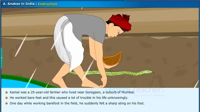 Snakes In India, Class 7 English | Digital Teacher