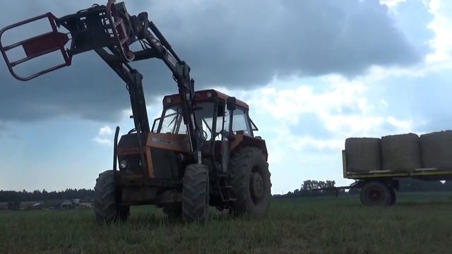 Szybkie Żniwa 2018|BIZON ZO56|NEW HOLLAND T6.175|URSUS 1014|ZETOR FORTERRA 12441 смотреть онлайн