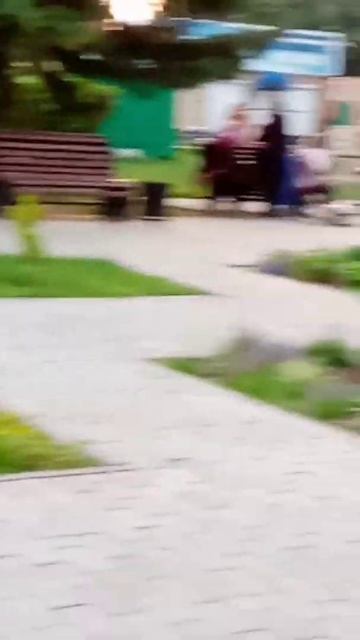 Парк в селе Алтайское смотреть онлайн
