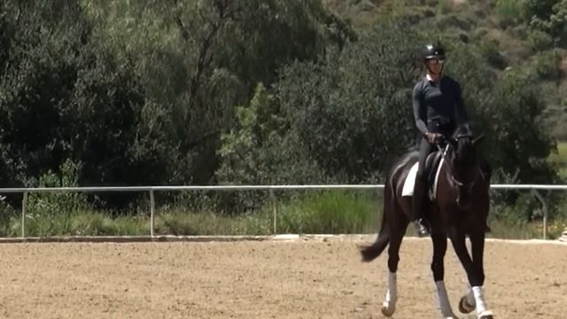 2 Secrets for Sitting the Trot смотреть онлайн