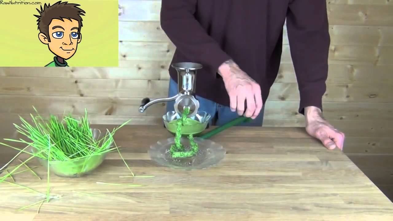 Ручная шнековая соковыжималка Wheatgrass Manual Juicer смотреть онлайн