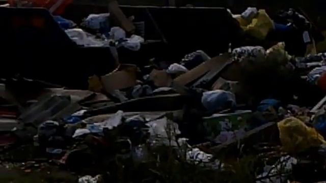 Забастовка мусорщиков в г СОЛНЕЧНОГОРСКЕ 1 смотреть онлайн