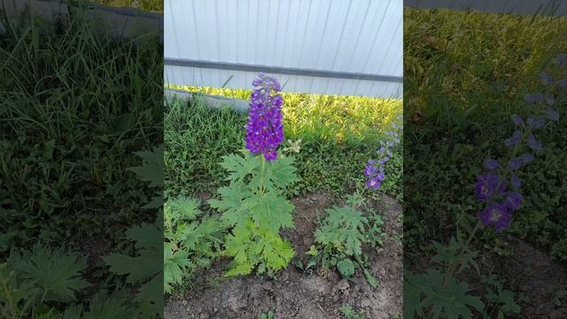 Воспоминания этого лета в фото смотреть онлайн