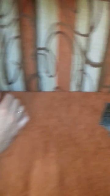 Красноухая черепаха. смотреть онлайн