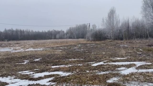 д. Никольское