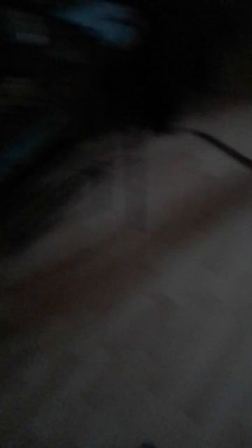 у нас дома воют собаки смотреть онлайн