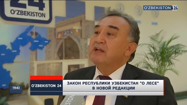Закон Республики Узбекистан «О лесе» в новой редакции смотреть онлайн