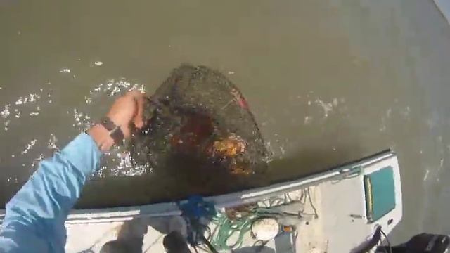 Gig'em (flounder and crabbin).avi смотреть онлайн