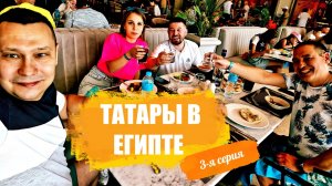 Отпуск 2025 в отеле Pickalbatros Luxury Suites 5* Зима Египет 3-я серия