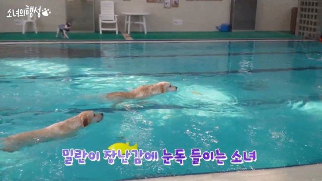 옆동네 밀란이와 수영대결을 해보았습니다 [이웃집탐방] смотреть онлайн