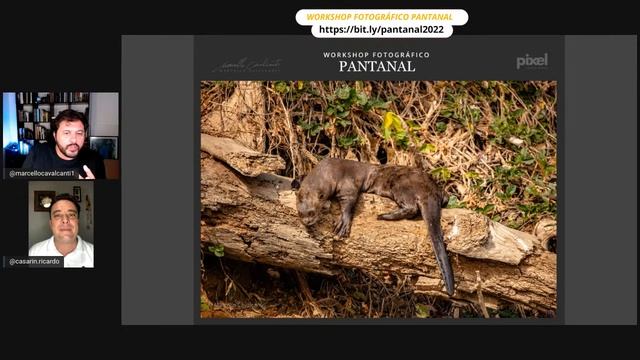 Workshop De Fotografia No Pantanal