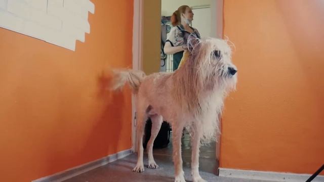 Время Чуна. Груминг.