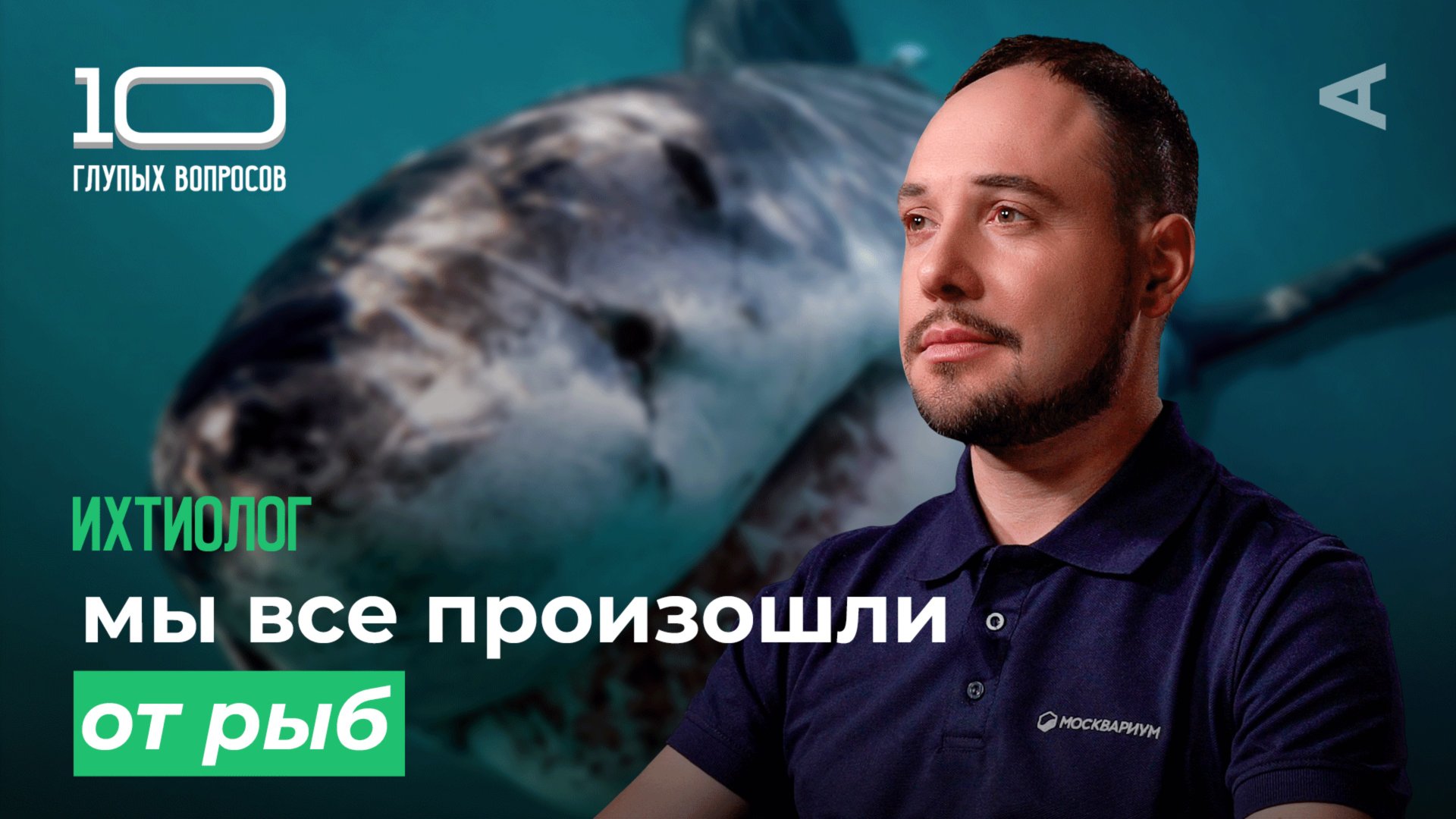 10 глупых вопросов ИХТИОЛОГУ смотреть онлайн