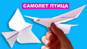 Самолет птица из бумаги. Летающая птица из бумаги. Как сделать бумажный самолетик
