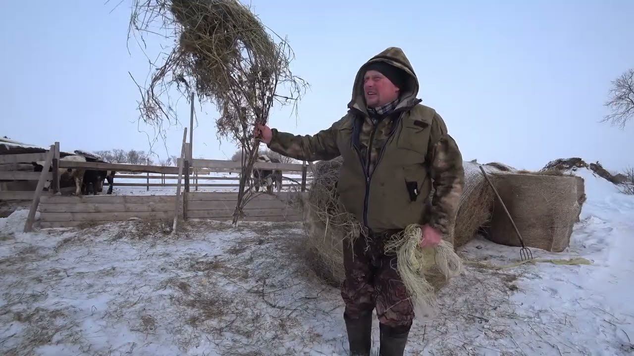 Весна пришла, в деревню . Омск Москаленки жизнь в деревне. смотреть онлайн